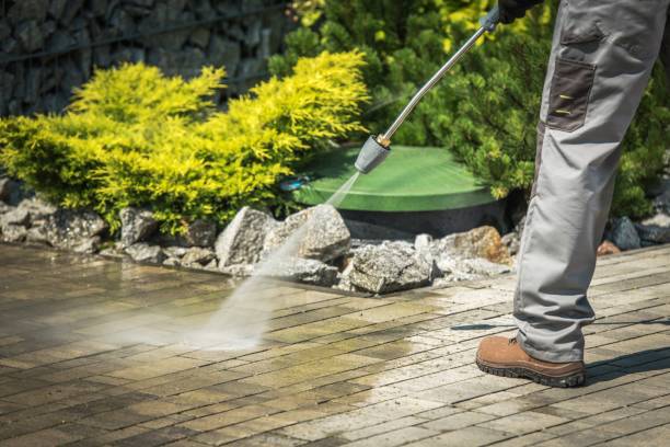 Best Spring Cleaning  in Arta, CA